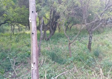 LOTE EN VENTA EN CABANA, UNQUILLO